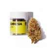 Fleur CBD Amnesia - Marie Jeanne