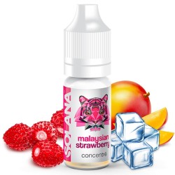 Malaysian Strawberry - Solana