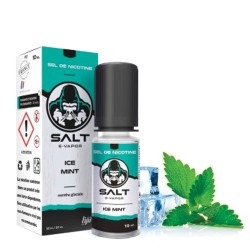 Ice Mint - Salt E-Vapor