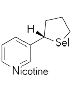 Sel de nicotine